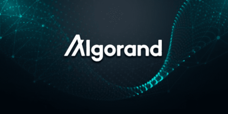 Smart Contract Coin And Their Blockchain: Algorand