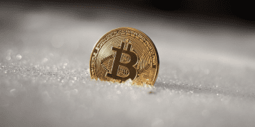 Crypto-Winter