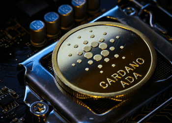 Vasil-Cardano