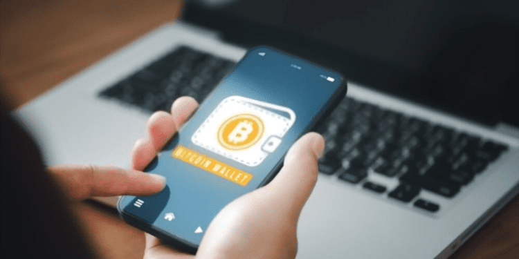 Analyst Willy Woo Says Bitcoin on Track To Hit 1,000,000,000 Unique Users Way Before 2030