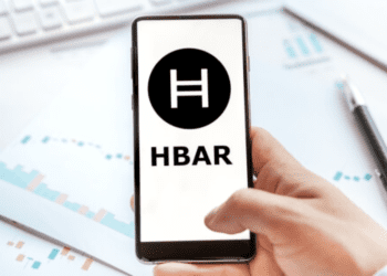 Hedera Network