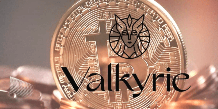 Valkyrie Updates Bitcoin ETF Filing, Lists Coinbase as ‘Surveillance-Sharing’ Partner