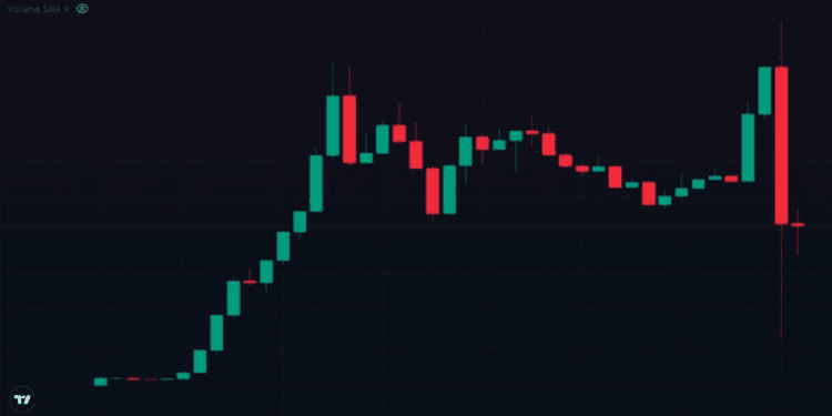 Cryptocurrency Stirs the Waters as BALD Token’s Developer Makes Significant Moves