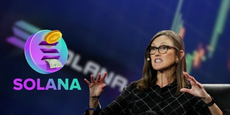 Solana Soars 15% After Cathie Wood Highlights Its Potential
