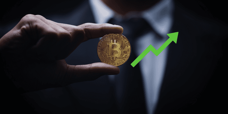 2023 Sees a Sharp Rise in Bitcoin Millionaire Wallets and Wholecoiner Numbers