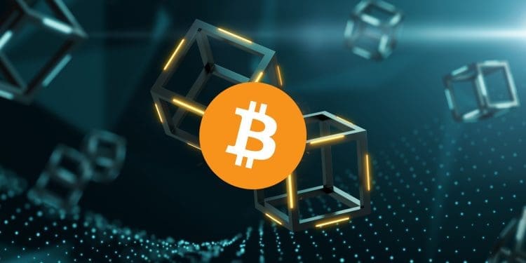 Bitcoin’s Halving Block: Record $2.4M Spent in Fees