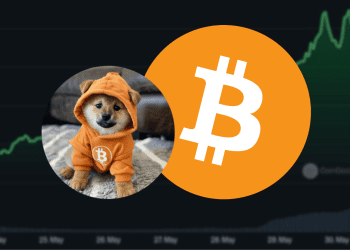 Bitcoin Meme Coin DOG Surges 20% Amid Market Downturn