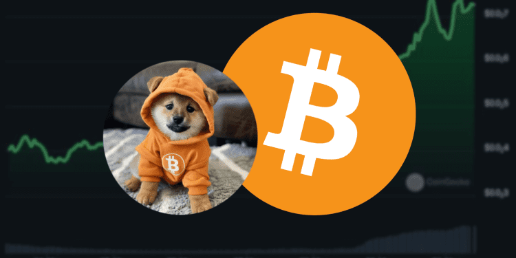 Bitcoin Meme Coin DOG Surges 20% Amid Market Downturn