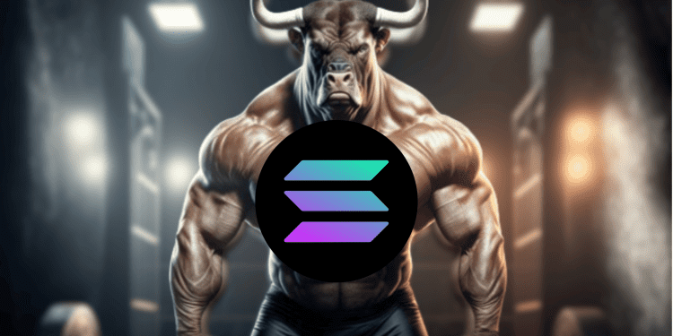 Solana SOL Could Reach $250 This Bull Run and Here is Why