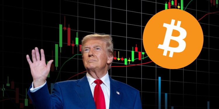 Bitcoin Reclaims $73,000 as Trump Election Odds Increase
