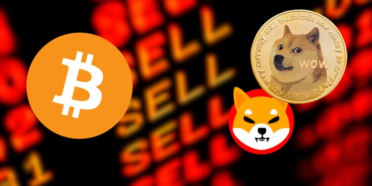 DOGE, SHIB Pump Halts After Bitcoin’s Brief Stumble; Here is What You Can Expect From Prices in the Short Term 👇