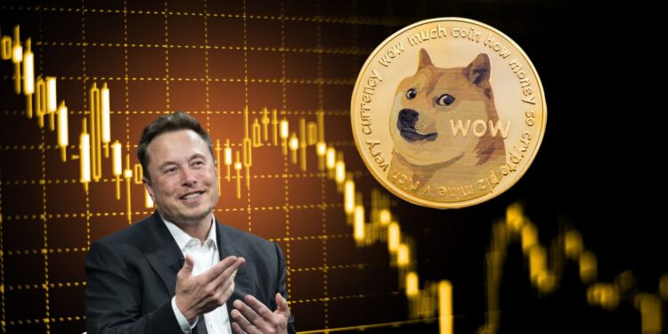Solana Meme Coin CHILLGUY Surges as Dogecoin Momentum Weakens; Can Elon Save DOGE?