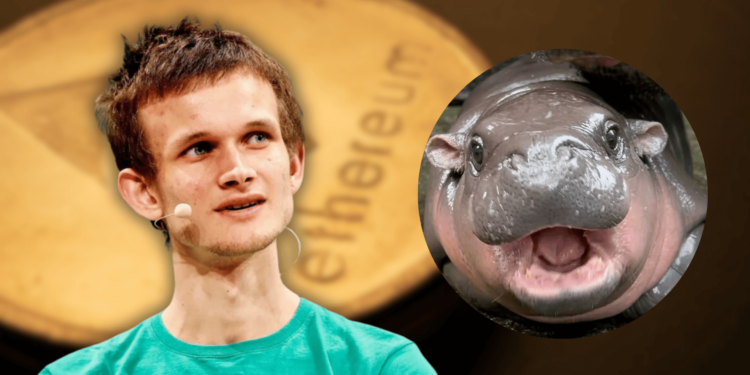 Ethereum’s Vitalik Buterin Adopts Viral Moo Deng Hippo with Massive Donation