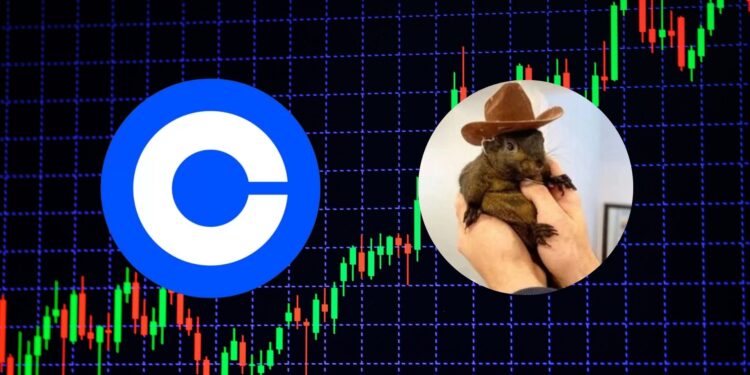 The Coinbase Effect: The Truth Behind PNUT 25% Price Surge