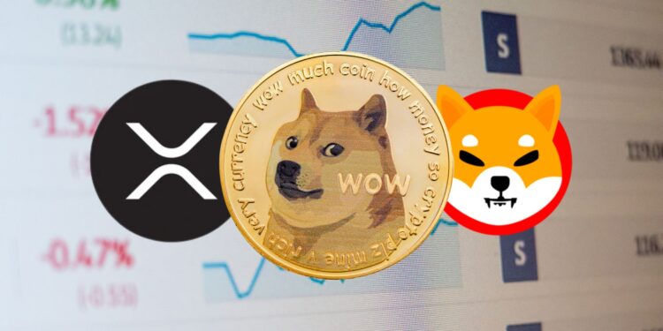 The State of XRP, DOGE, and SHIB: A Market Analysis
