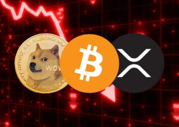 Crypto Market Crashes: BTC, XRP, and Others Tumble 6%