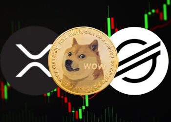 Dogecoin, Ripple, and Stellar Lumens: Navigating the Crypto Market Surge