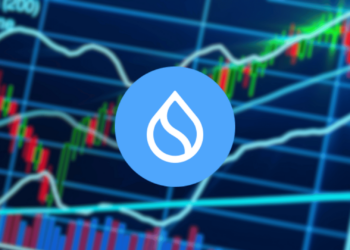 Sui Faces Market Correction but Retains Long-Term Growth Potential
