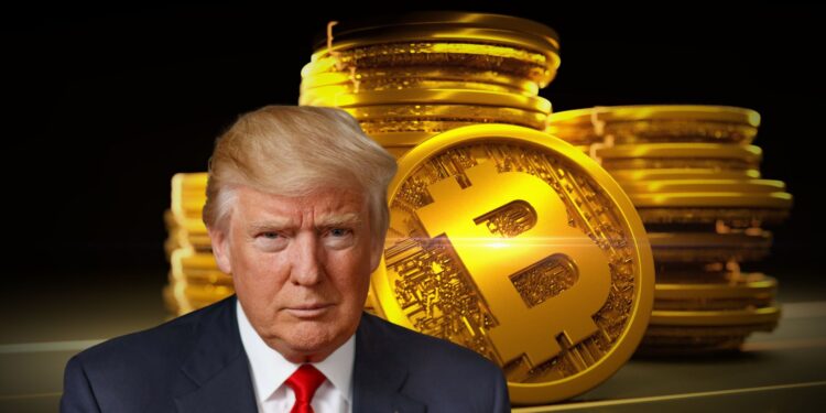 Everything You Need to Know About Donald Trump’s New Bitcoin Reserve