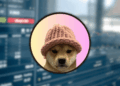 Analysts Predict Dogwifhat Could Hit $3 Following Bitcoin Surge Here is Why