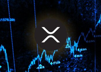 XRP Hodler Unshaken: "Didn't Buy at $0.10 to Sell at $2!"